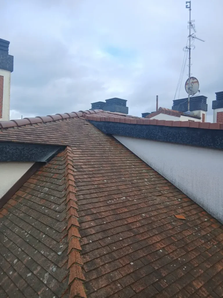 Reforma tejado y fachada en Getxo